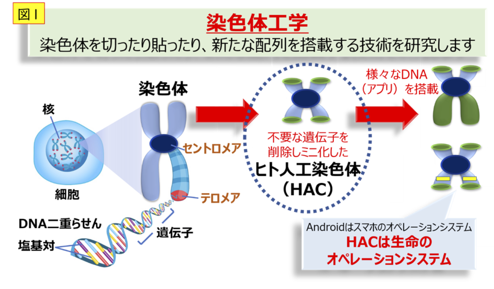 Figure_1 Figure_1_tomizuka