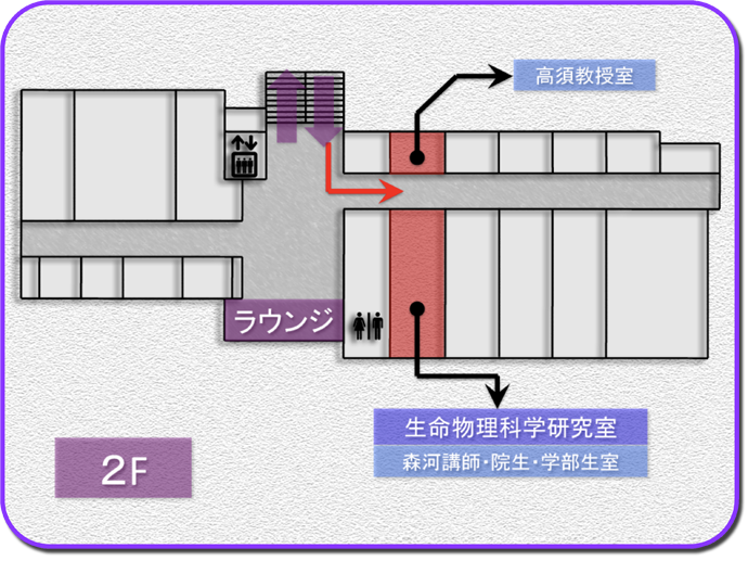 MAP2